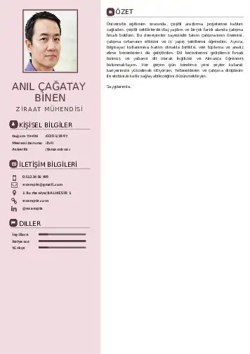 Ziraat Mühendisi Cv Örnekleri cv indir